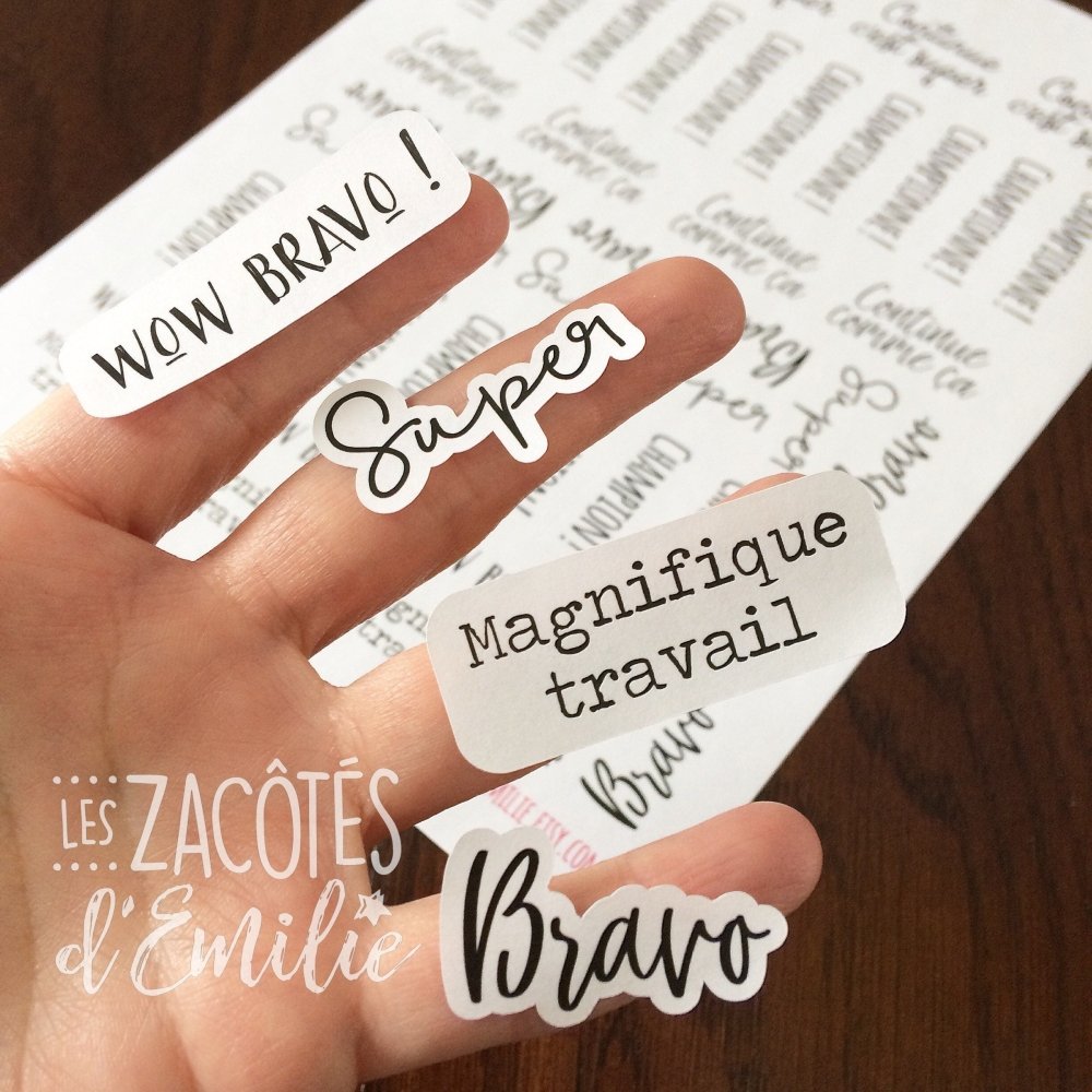 Lot d'autocollants pour professeurs - Les Zacôtés d’Emilie