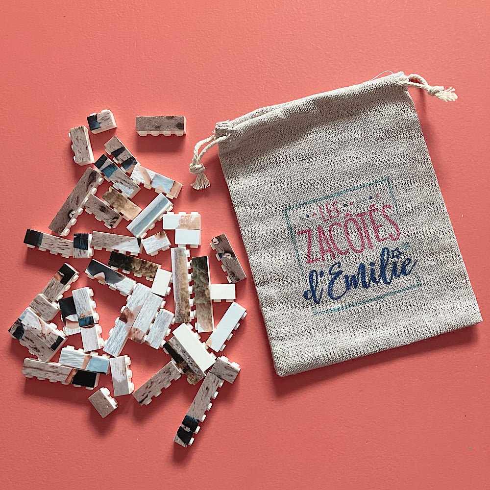 Photo casse - tête en blocs de construction - Les Zacôtés d’Emilie