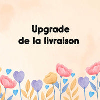 Upgrade de la livraison - Les Zacôtés d’Emilie